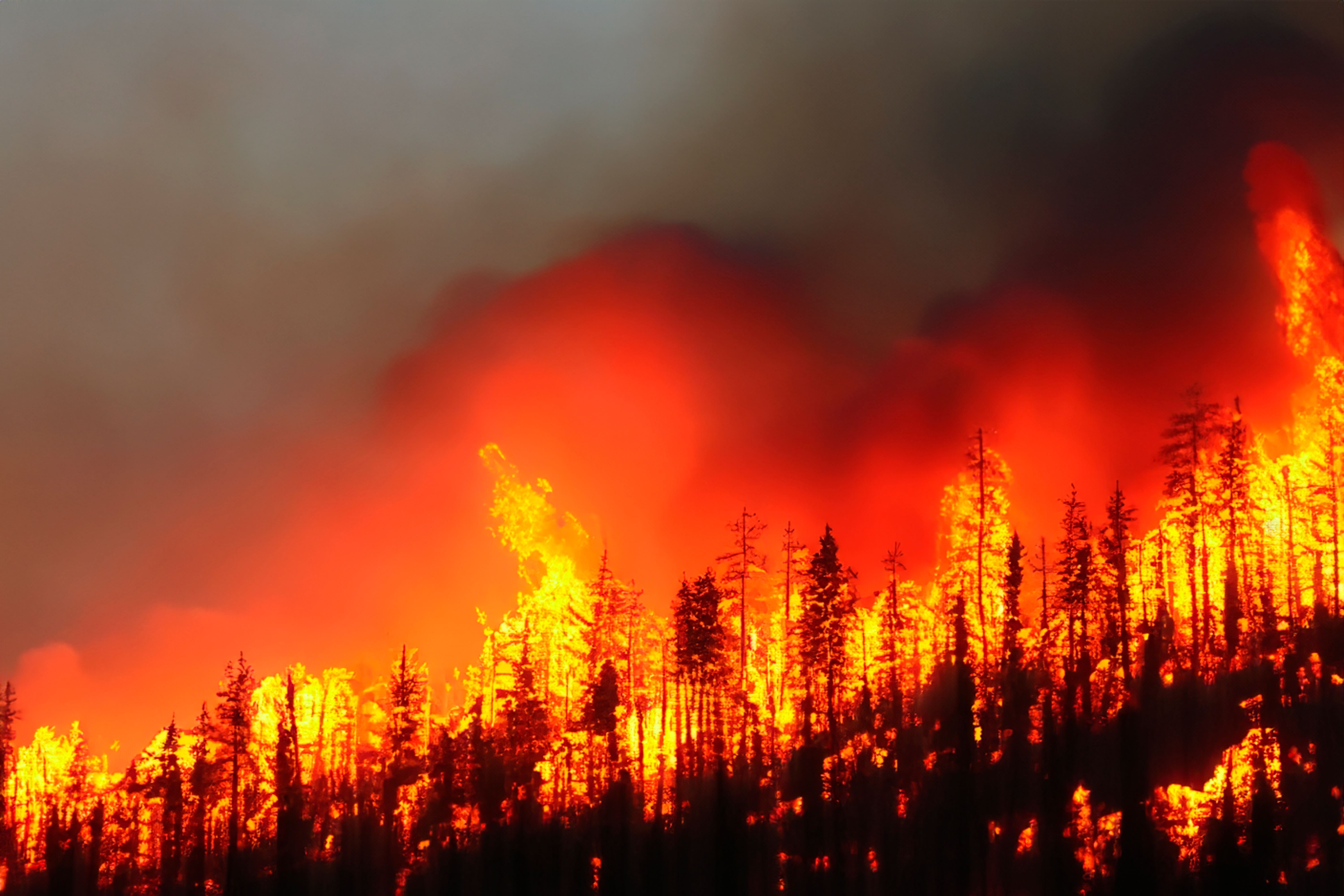 Fires burn through Los Angeles hills